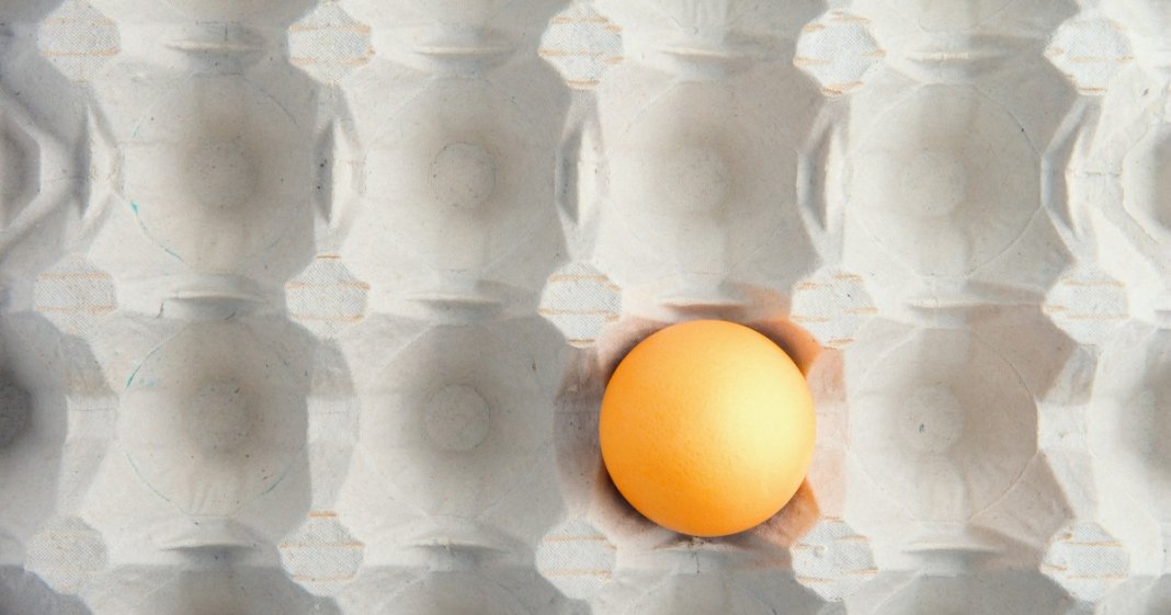 Motivele penuriei de ouă în magazinele din România: conexiunea cu condițiile de viață ale găinilor din ferme