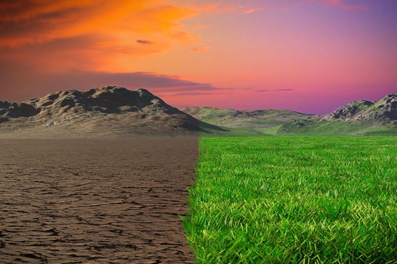 Luna precedentă a înregistrat cea mai scăzută temperatură din ianuarie din ultimele 16 ani în Europa. Care zone au resimțit ger extrem?