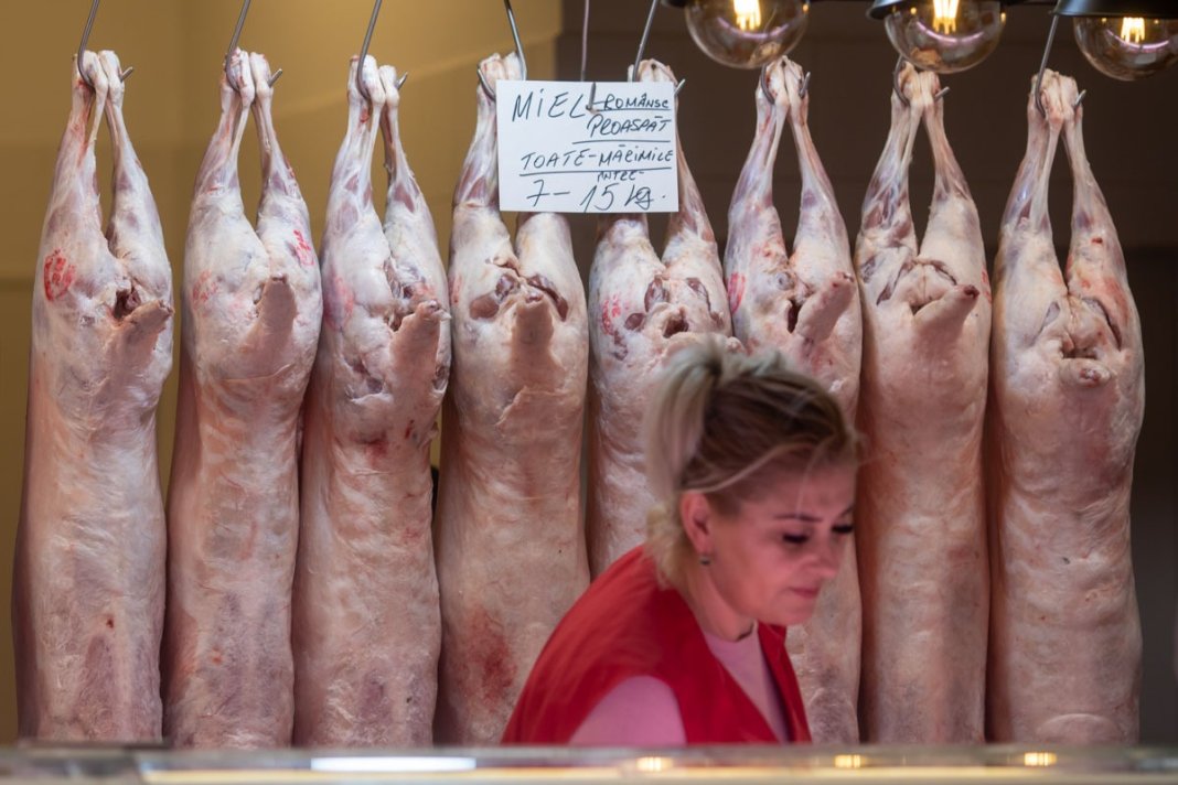 Costurile pentru miel în Arad: la același nivel ca anul trecut sau mai scăzute