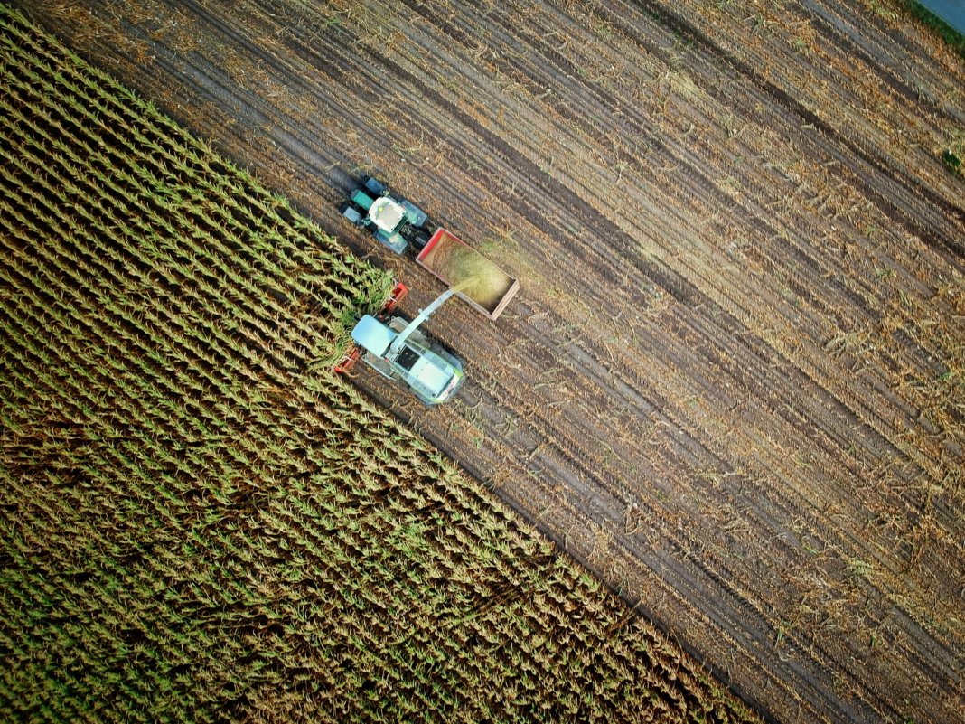 Evaluare: Cine va mai asigura producția de alimente în Europa?