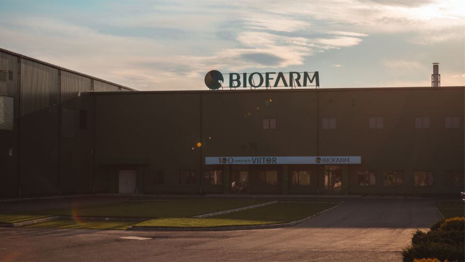 România ar avea posibilitatea să recupereze sume uriașe din economia ascunsă aplicând „modelul italian”: amnistie și bonuri de tezaur disponibile la supermarket.